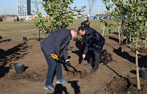 Рождение нового парка