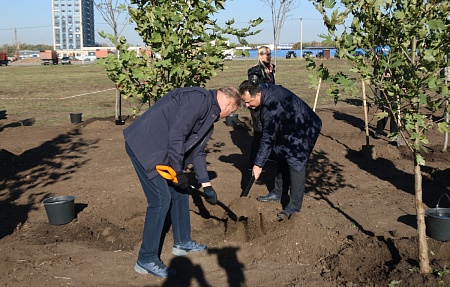 Рождение нового парка